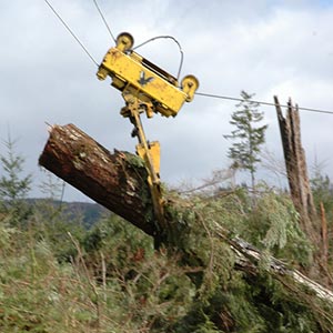 Logging Carriages